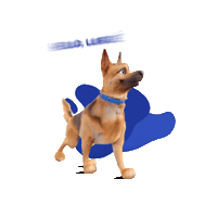 Chile Somospley Sticker by Champion Dog Proa