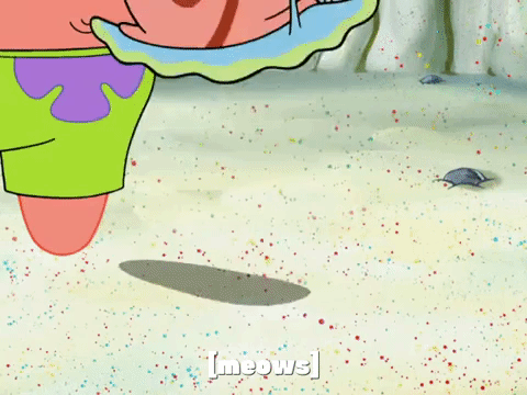 season 8 barnacle face GIF by SpongeBob SquarePants