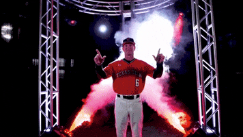 college baseball cws GIF by NCAA Championships