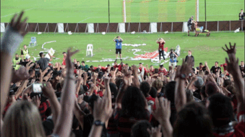 wswanderersfc reaction football western sydney wanderers a-league GIF