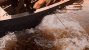 swamp people alligator GIF