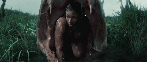 Cobra GIF by Megan Thee Stallion