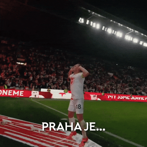 Party Celebrate GIF by SK Slavia Praha