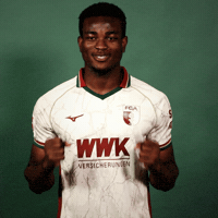 Bundesliga Uchenna GIF by FC Augsburg 1907