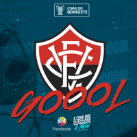 Copa Do Nordeste Goooool GIF by TV Jornal Interior
