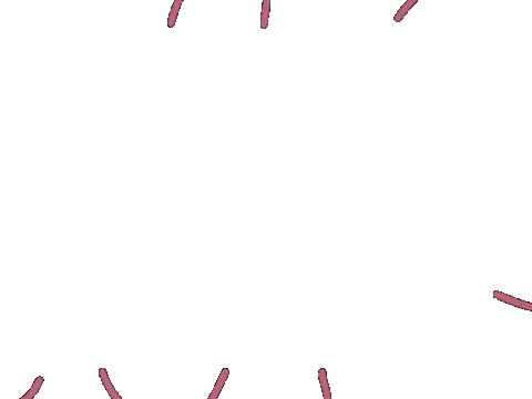 Tolerave Sticker by seebrückedresden