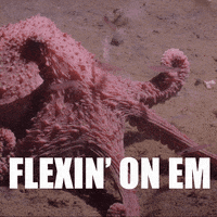 Show Off Drip Drip GIF by OceanX