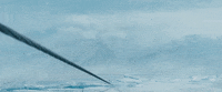 Fast And Furious GIF by The Fast Saga