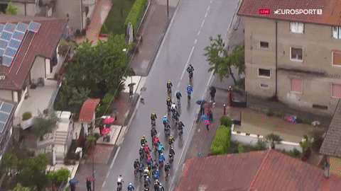 marko_alpner giphyupload dog crash giro GIF