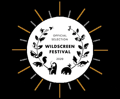 Wildscreen giphygifmaker wildlife film festival wildscreen GIF