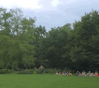 GIF by Planckendael