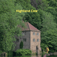 Highland Cow Scotland GIF by STARCUTOUTSUK