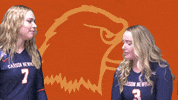 C-N Volleyball GIF by Carson-Newman Athletics