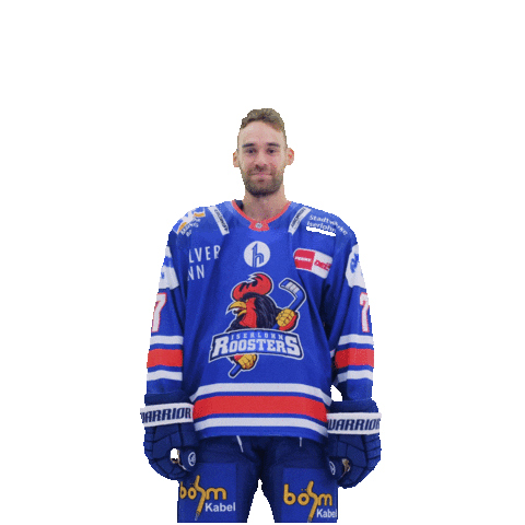 Sport Win Sticker by Iserlohn Roosters