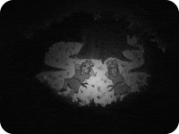 black and white illustration GIF by The Daily Doodles