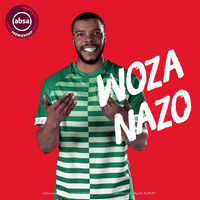 south african soccer GIF
