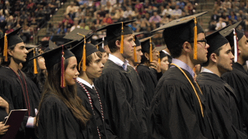 graduation GIF by Florida State University