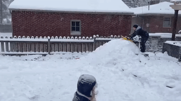 Family Enjoys Sledding Down Man-Made Hill Amid Winter Storm in Indiana