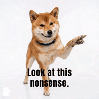 Shiba Look At GIF by Woofzara