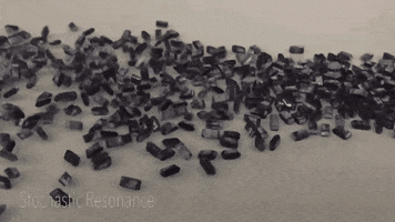 motion research GIF by Harvard University