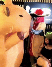 Rodri Capibara GIF