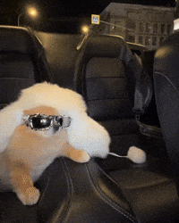 Dog Girl GIF