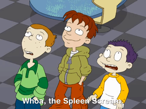 all grown up nicksplat GIF
