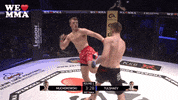 GIF by We love MMA