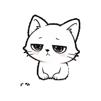 Cat Esperar Sticker