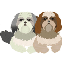 tmsgphotos dogs photo camera pictures GIF