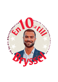 SSULENET europe eu elections ssu Sticker