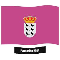 Flag Spain Sticker by Formación Ninja