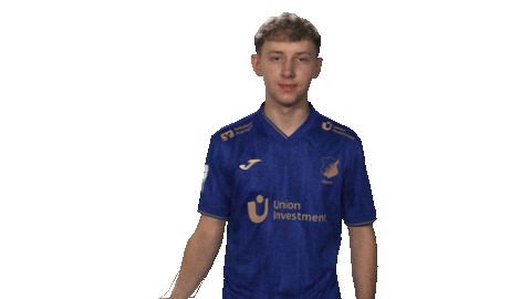 Tsg Hoffenheim Hello Sticker by Bundesliga
