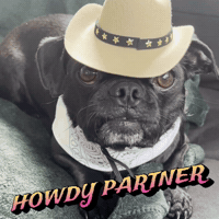 Certifiedgoodboys dog dogs cowboy western GIF