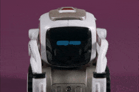 GIF by Anki