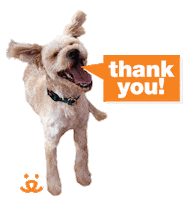 Thank You So Much Sticker by Best Friends Animal Society