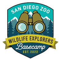 Camping San Diego Sticker by San Diego Zoo Wildlife Alliance