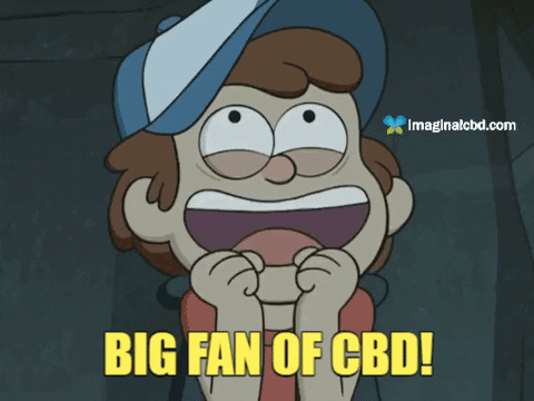 Excited Gravity Falls GIF by Imaginal Biotech