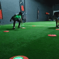 Fitlighttraining  GIF