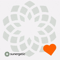 Suner GIF by Sunergetic