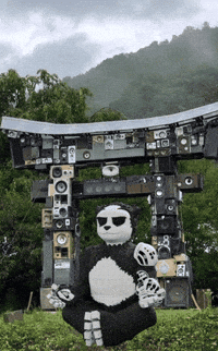 Panda Meditation GIF by Endangered Labs
