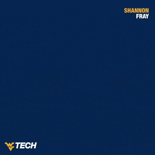 Wrestling GIF by WVU Tech Golden Bears
