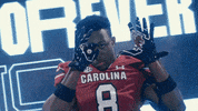 College Football GIF by gamecocksonline