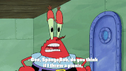 season 9 GIF by SpongeBob SquarePants