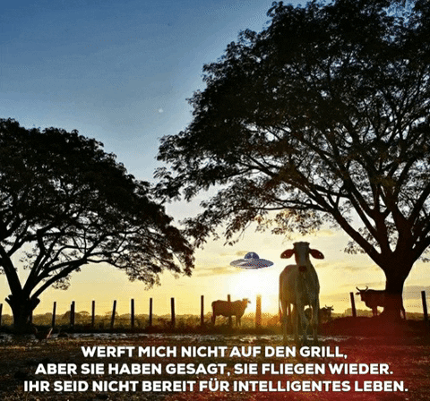 hanieldecker giphygifmaker giphyattribution alien ufo GIF