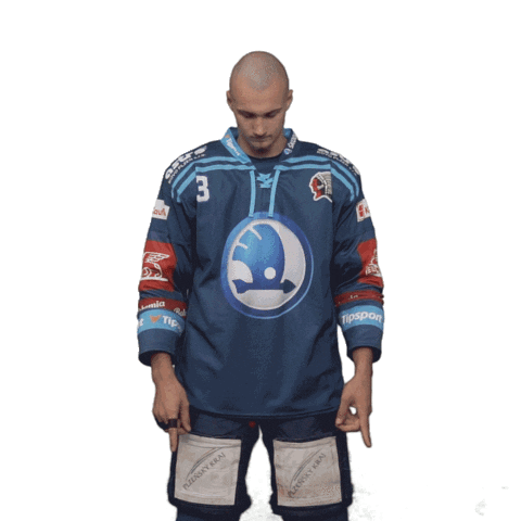 Hockey Swipe Up Sticker by HC Škoda Plzeň