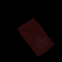 Sad Chinese GIF