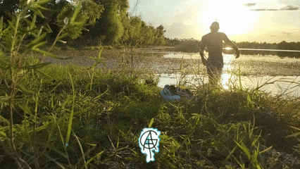 R Ca GIF by Fifield Asset Management