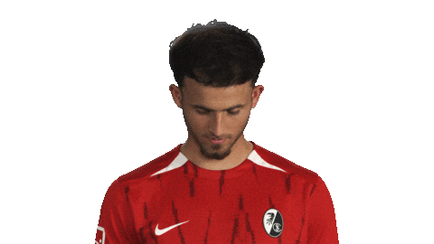 Look Up Sc Freiburg Sticker by Bundesliga