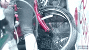 folding bicycle cycling GIF by DAHON Bikes